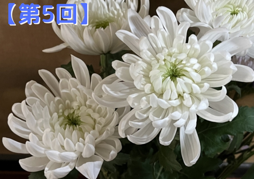 岡山の家族葬ならファイング 【第5回】意外と知らない仏花の基礎知識