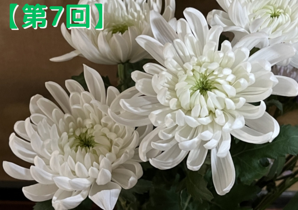 岡山の家族葬ならファイング 【第7回】意外と知らない仏花の基礎知識
